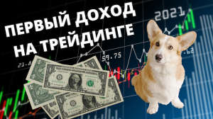 Трейдинг в Тинькофф Инвестициях внутри дня для начинающих