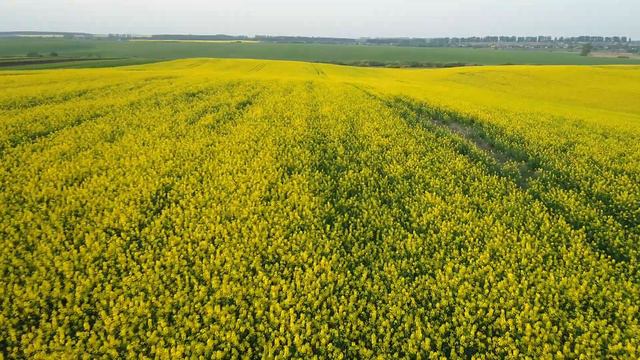 тереш 17 24,8#7 смотреть онлайн