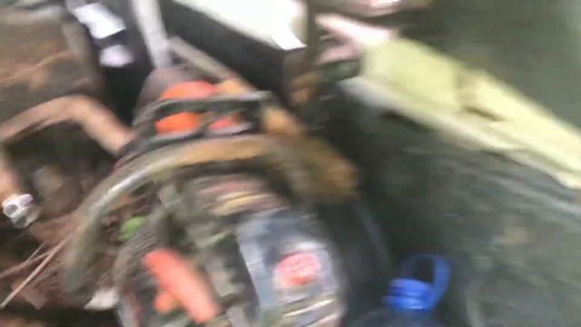 День копа труб ‘ лесной массив и одни трубы. смотреть онлайн