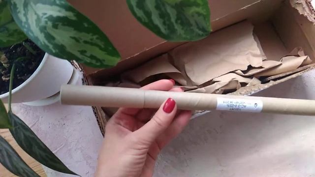 Ареометр-caхарометр АС-3 (0-25). Распаковка. смотреть онлайн