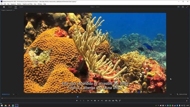 Curso completo Premiere Pro 2023 - Edición de video [Tutorial completo] l Curso gratis смотреть онлайн
