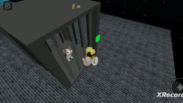 проходем фиолетовый ключь в роболксе в игре Doge head.... смотреть онлайн