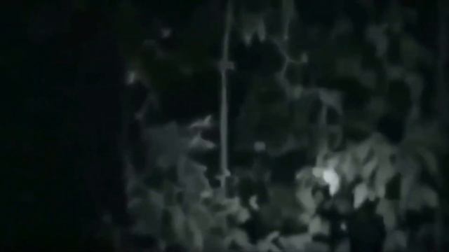 5 ИНОПЛАНЕТЯН СНЯТЫХ НА КАМЕРУ 2 смотреть онлайн