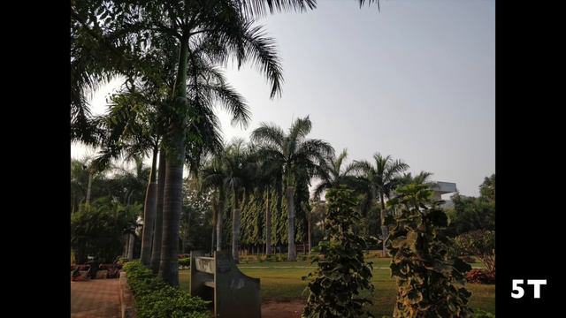 Honor View 10 Camera Review Compared with Oneplus 5T ll in telugu ll смотреть онлайн