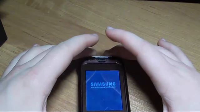 Обзор Samsung GT-C3300K