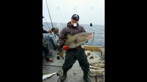 Рыбалка в Мурманске на треску
