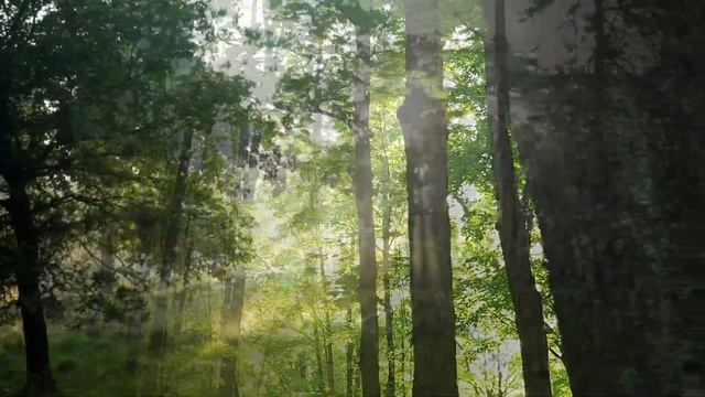 Музыка и природа смотреть онлайн