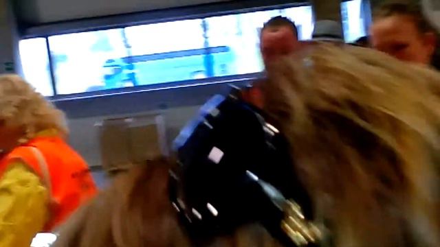 Как происходит сборка заказов на Ногинском комплексе Орифлэйм. смотреть онлайн