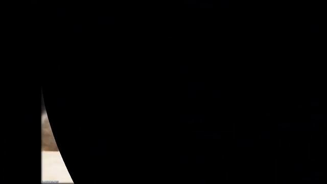 ошейник для кошек red dingo купить смотреть онлайн