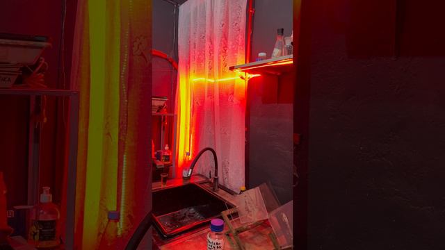 ФОТО 19 ВЕКА!