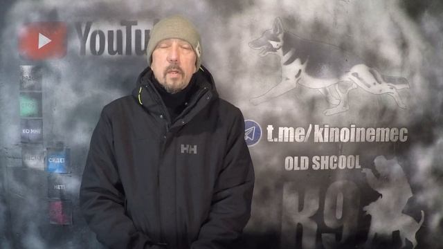 Как избежать конфликта между ребенком и собакой смотреть онлайн