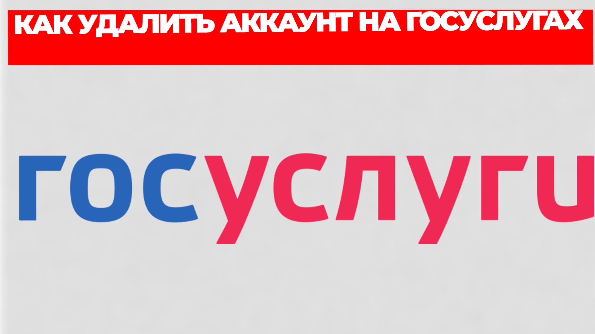 Всезнающий Енот