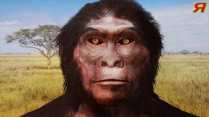 ОТКУДА ПРОИЗОШЛИ ЛЮДИ? Когда появился человек?  Как эволюция превратила обезьяну в человека?