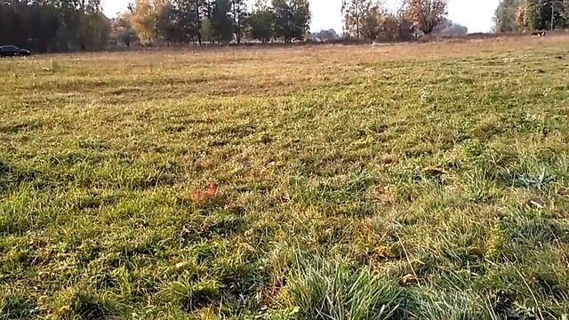 Купить участок в живописном месте смотреть онлайн