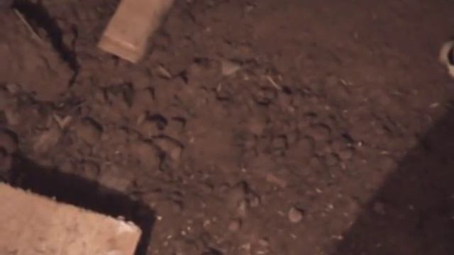 Кошмары бывалого дачника смотреть онлайн