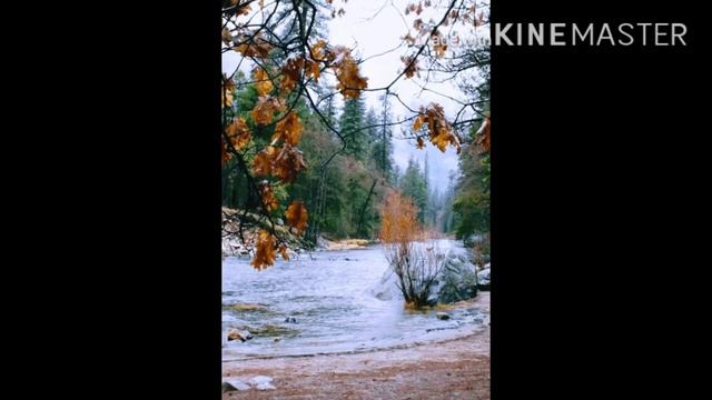 10 Крутых фото природы смотреть онлайн