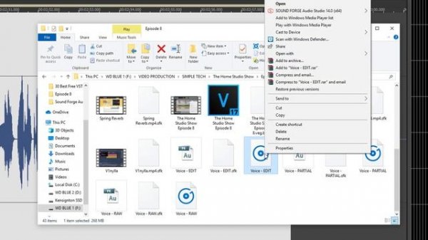 Sound Forge Audio Studio 14  Review - Audio Editing Software with Izotope Ozone Elements 9