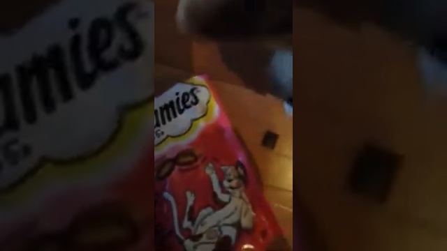 День рожденье Клеопатры.