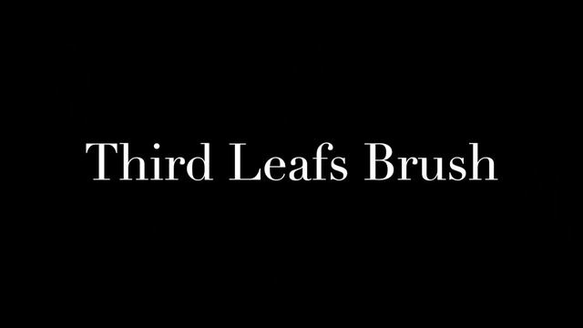 Free |No Copyright | Hundreds Of Custom Leaf Brush Mega Collection For Adobe Illustrator & Photosho