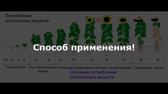 Органический стимулятор Bloom Booster для цветения (GO Bio Bud) GHE Terra Aquatica 0,5 литра смотреть онлайн
