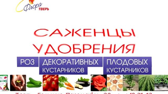 Все для Сада и Огорода во Флора Тверь смотреть онлайн