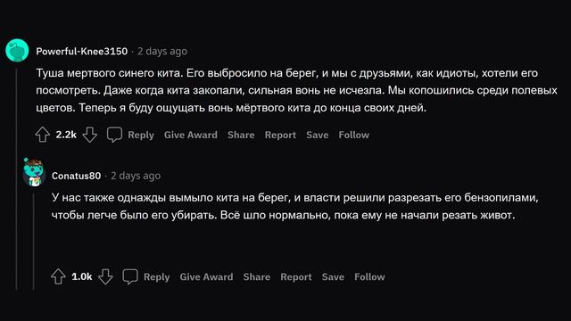 КАКОЙ САМЫЙ ХУДШИЙ ЗАПАХ ВЫ ОЩУЩАЛИ? смотреть онлайн
