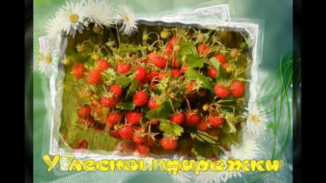 Ромашковое лето ! смотреть онлайн