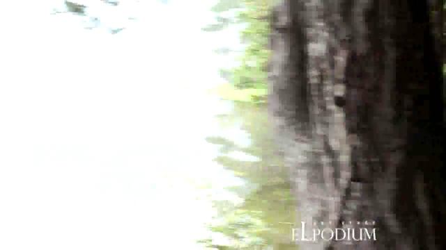 El Podium Travels смотреть онлайн