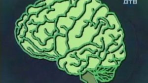 О снах | Территория призраков | ДТВ | 2008