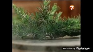 palmolive термал спа паровая баня гель для душа 2010 реклама