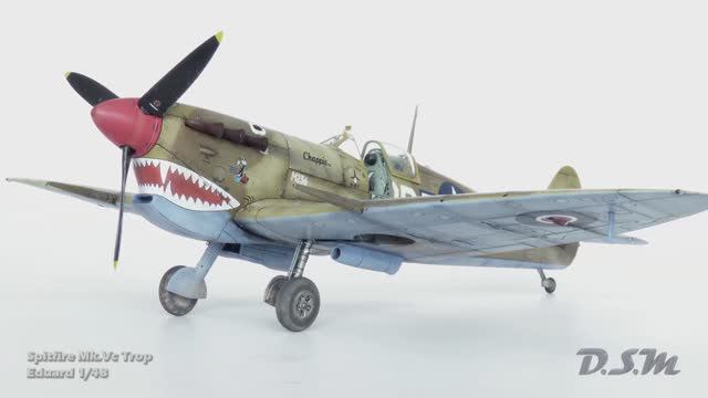 Spitfire Mk.V 1/48 Eduard