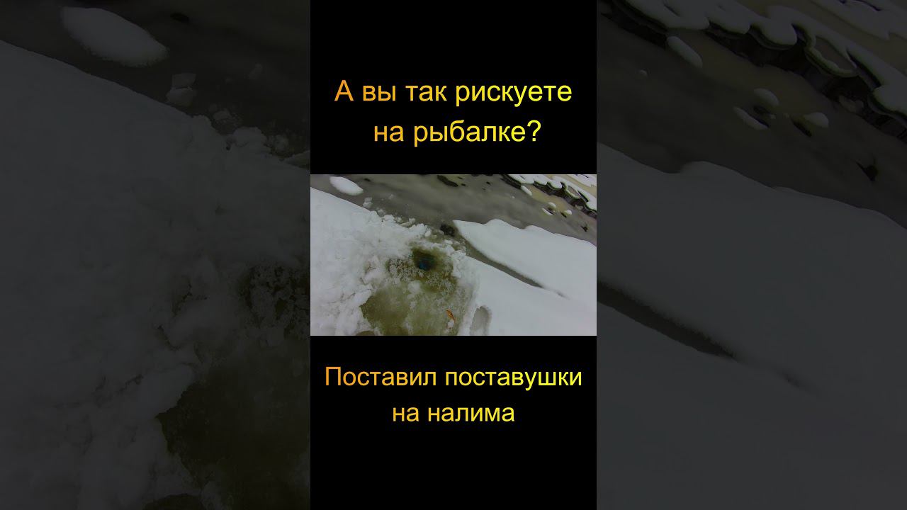 А вы так рискуете на рыбалке? #shorts смотреть онлайн
