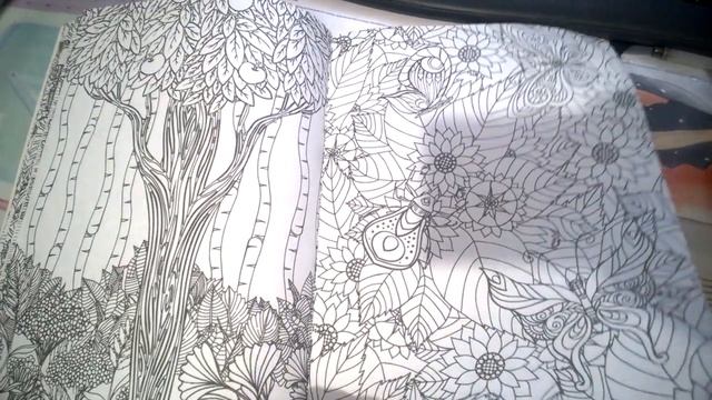 Раскраска  Таинственный лес просмотр страниц