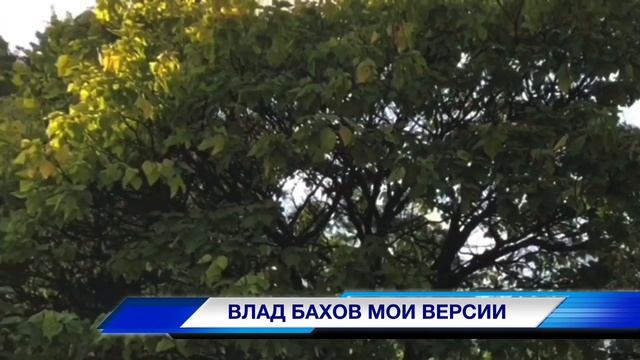 Дело Влада Бахова ✔️ Моя версия ✔️ Влад Бахов