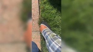 Как нарезать правильно кромку газону? Зачем отрезают кромку газона?