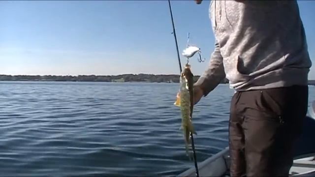 Lake Geneva Early Fall Fishing смотреть онлайн