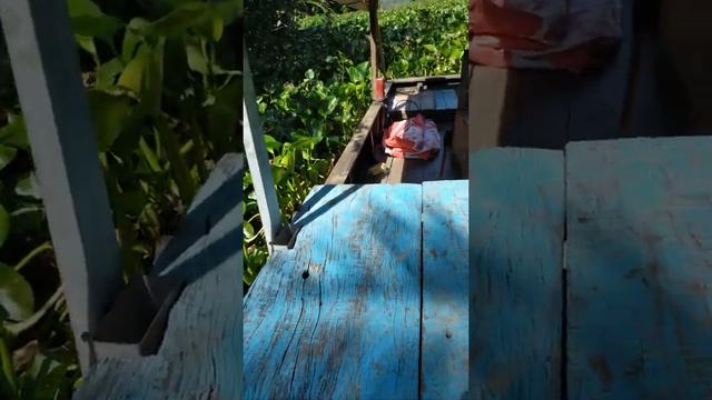 (Đã Bán)Bán mũi Chẻ. sao núi.2 tấn. máy Kia 25.Giá 23 triệu.sdt 0982510378. смотреть онлайн