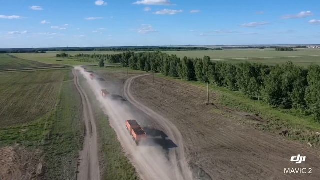 Продажа телок породы Ангус смотреть онлайн