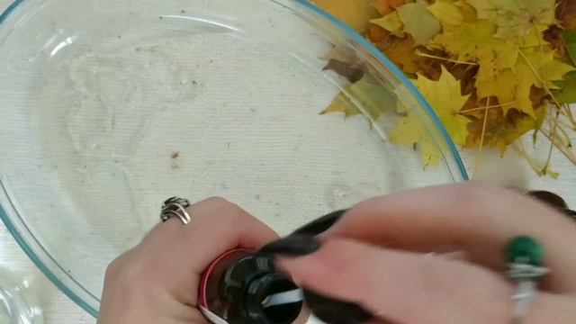 Как сохранить, законсервировать осенние листья? Собираем материал для арт-терапии | Психолог Д.Воль смотреть онлайн