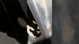 Замена ручки задней двери приора