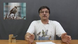 Орнитолог советует. Как правильно сделать скворечник?