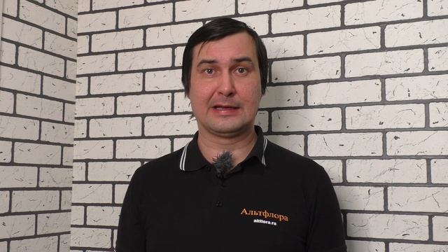 Мовенто Энерджи - новый смесевой инсектицид широкого спектра действия. Обзор