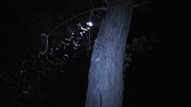 Поздний ужин смотреть онлайн