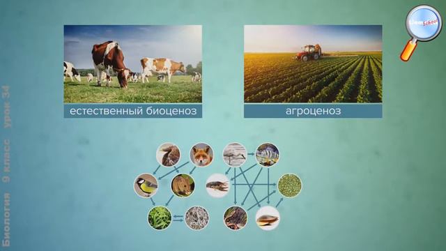 Искусственные экосистемы смотреть онлайн