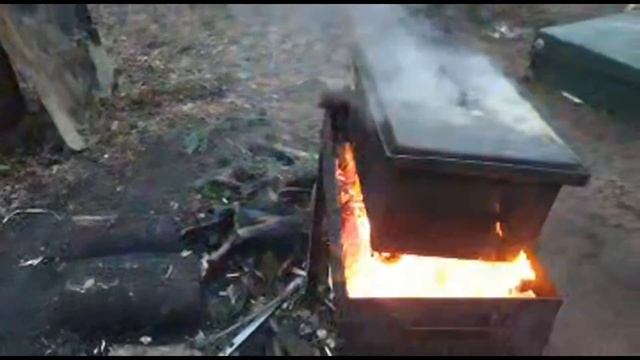 Копчение Судака На Замоченной В Березовом Соке Щепе Ольхи. смотреть онлайн