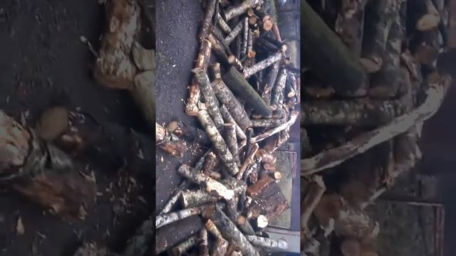 32 куба дров смотреть онлайн