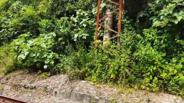 Пицунда. День 11 смотреть онлайн