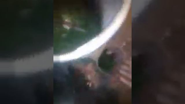 Шинковка для крапивы2 смотреть онлайн