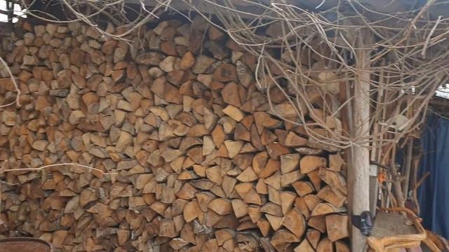 Про моих хвостатых друзей. смотреть онлайн