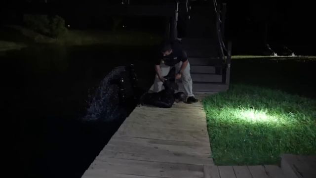 I Got 50 People to Rob My House смотреть онлайн
